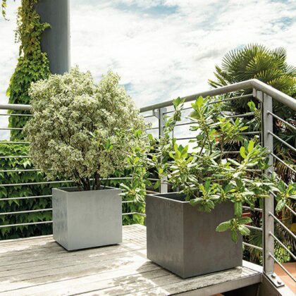 Lillepott veepaagiga, 25 cm, Blanco