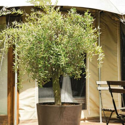 Lillepott veepaagiga, 59 cm, Graniit