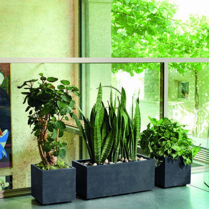 Lillepott veepaagiga, 25 cm, Antratsiit