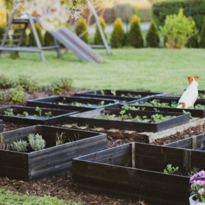 Puidust peenrakast 115 x 85 x 26 cm, must