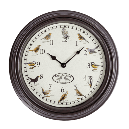 Seinakell linnuhäältega