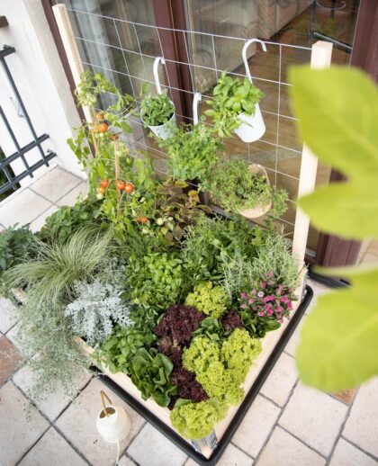 Taimede tugivõrk 118 x 69,5 cm