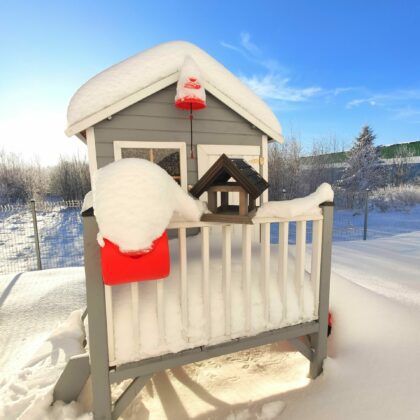 Puidust linnusöögimaja, Varblane (hall)