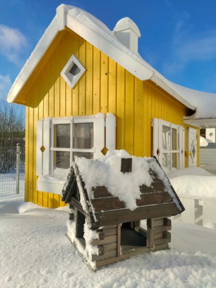 Puidust linnusöögimaja, Vint (hall)