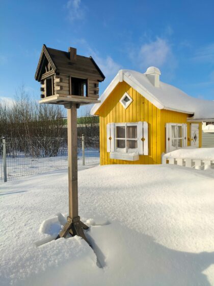 Puidust linnusöögimaja, Vint (hall)