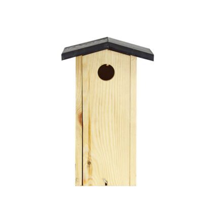 Linnu puidust pesakast, Puukoristaja