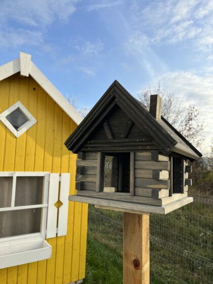 Puidust linnusöögimaja, Vint (hall)