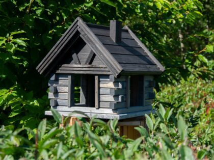 Puidust linnusöögimaja, Vint (hall)