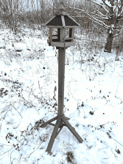 Puidust linnusöögimaja, Musträstas