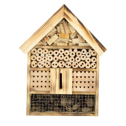 Putukahotell, Lepatriinu