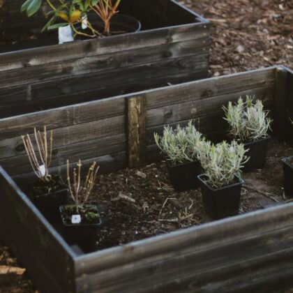 Puidust peenrakast 100 x 75 x 20 cm, must