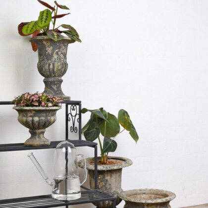 Läbipaistvast klaasist kastekann, 1,4 l