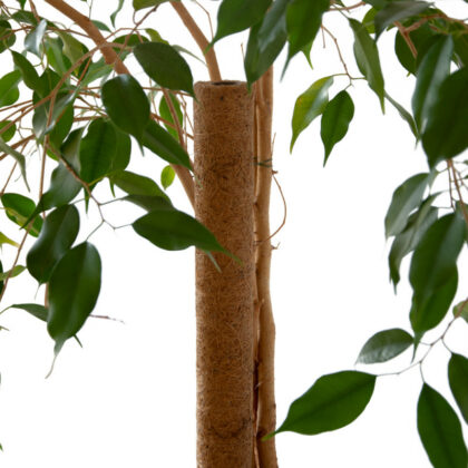 Kookoskiust taimetugi, 45 cm