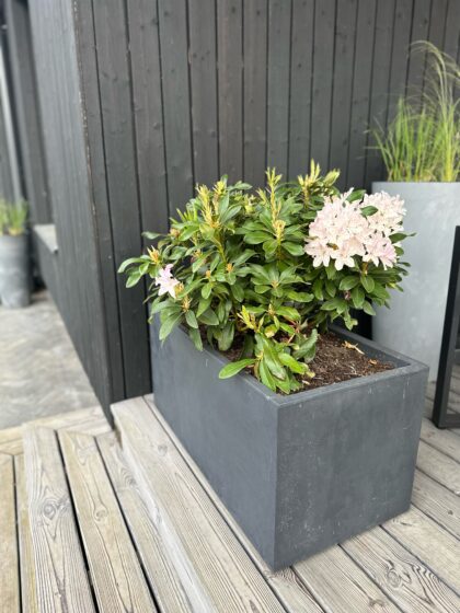 Lillepott veepaagiga, 59 cm, Antratsiit - Image 4