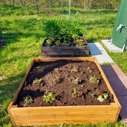 puidust peenrakast 90 x 90 x 21 cm, pruun