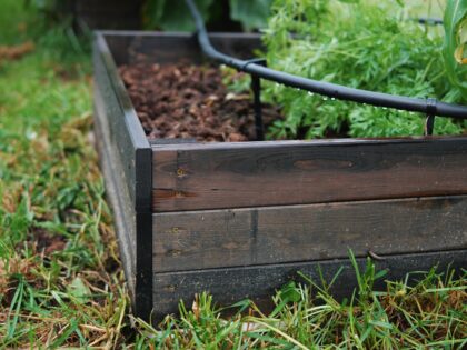 Puidust peenrakast Bonus Orbis, 160 x 80 x 27 cm, must - Image 7