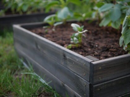 Puidust peenrakast Bonus Orbis, 160 x 80 x 27 cm, must - Image 6