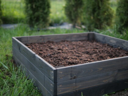 Puidust peenrakast Bonus Orbis, 160 x 80 x 27 cm, must - Image 5