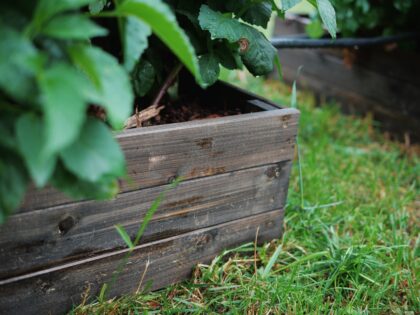 Puidust peenrakast Bonus Orbis, 160 x 80 x 27 cm, must - Image 4