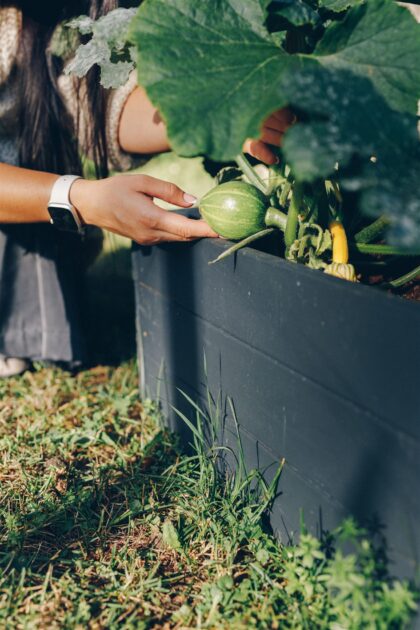 Puidust peenrakast Bonus Orbis, 160 x 80 x 27 cm, must - Image 3