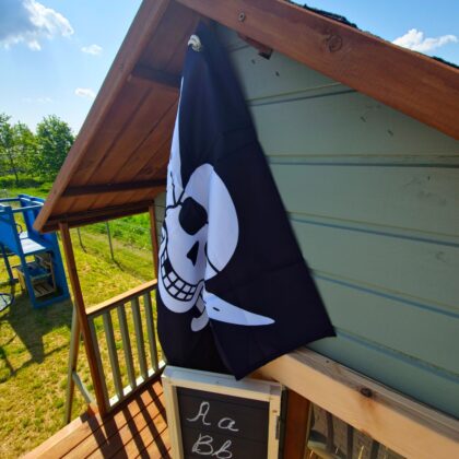 Piraadilipp, 55x45cm