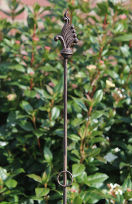 Taimetoed 8 tk, 175 cm - Image 6