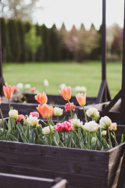 Puidust peenrakast 80 x 80 x 27 cm, must - Image 3