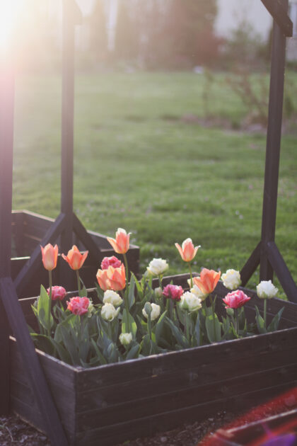 Puidust peenrakast 80 x 80 x 27 cm, must - Image 15