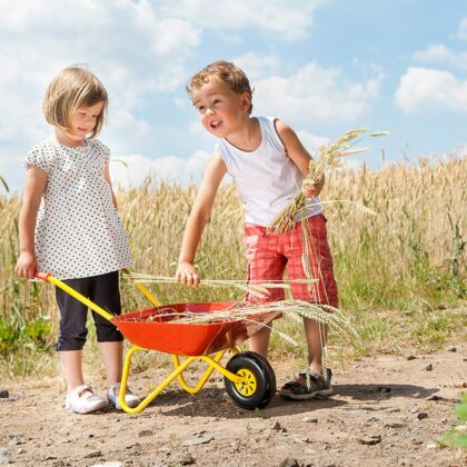 Laste metallist aiakäru, punane